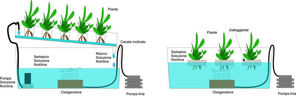 idroponica flusso e immersione